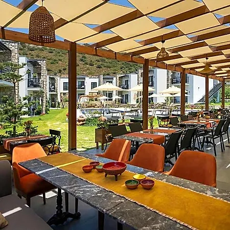 Otel Dadya Bora